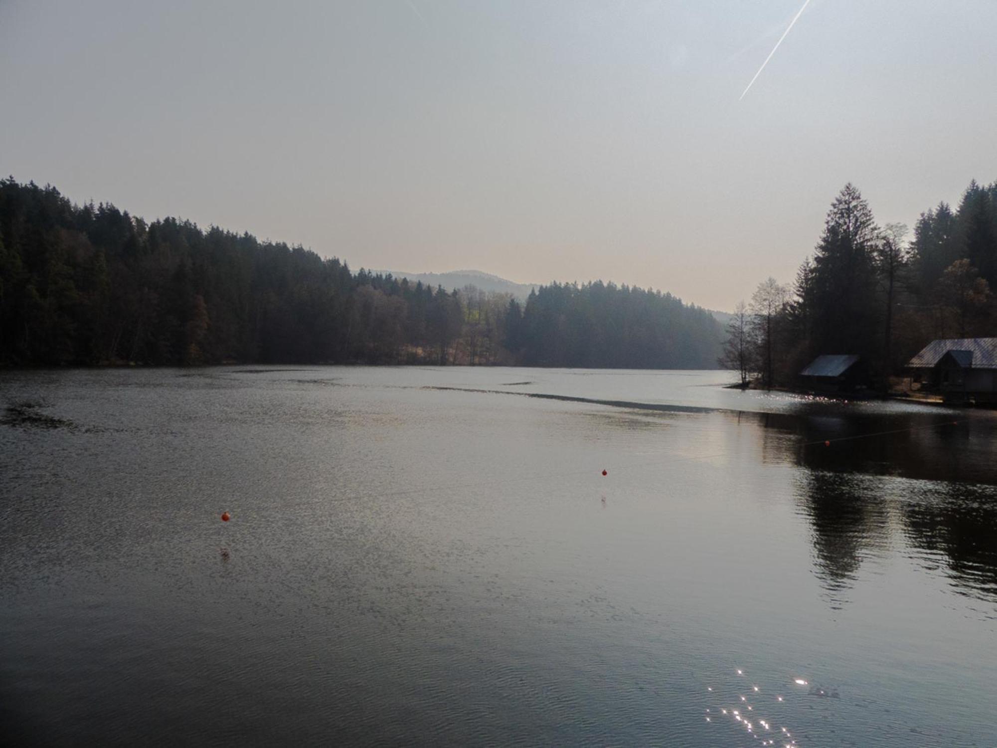 Ferienhaus Nr 11A2, Feriendorf Hagbuegerl, Bayr Wald Waldmuenchen Luaran gambar
